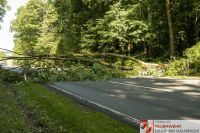 _2026-06-04 Baum über Strasse B141 Pramwald-1619